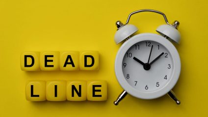 Rinnovabili • Emendamenti al Milleproroghe: le modifiche approvate