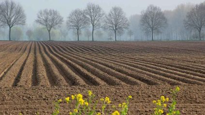 Rinnovabili • andion-acquisisce-cella-dati-iren-e-sar