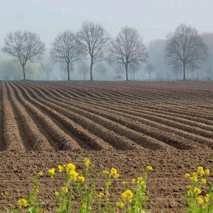 Rinnovabili • andion-acquisisce-cella-dati-iren-e-sar