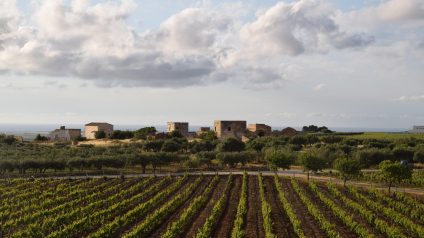 Rinnovabili • Fotovoltaico per aziende agricole, il Bando della Sicilia stanzia 100 mln