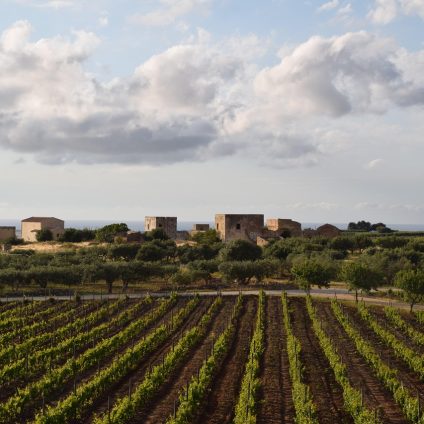 Rinnovabili • Fotovoltaico per aziende agricole, il Bando della Sicilia stanzia 100 mln