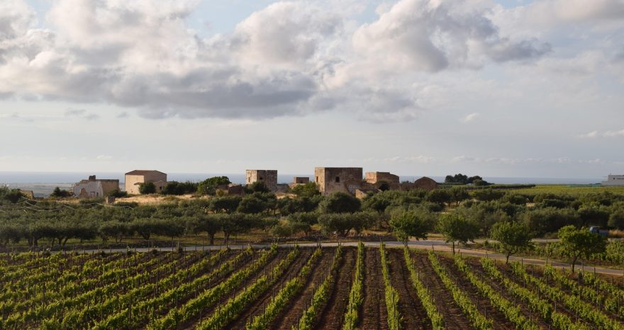 Rinnovabili • Fotovoltaico per aziende agricole, il Bando della Sicilia stanzia 100 mln