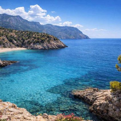 Rinnovabili • plancton-calcificante-tropicalizzazione-mar-mediterraneo