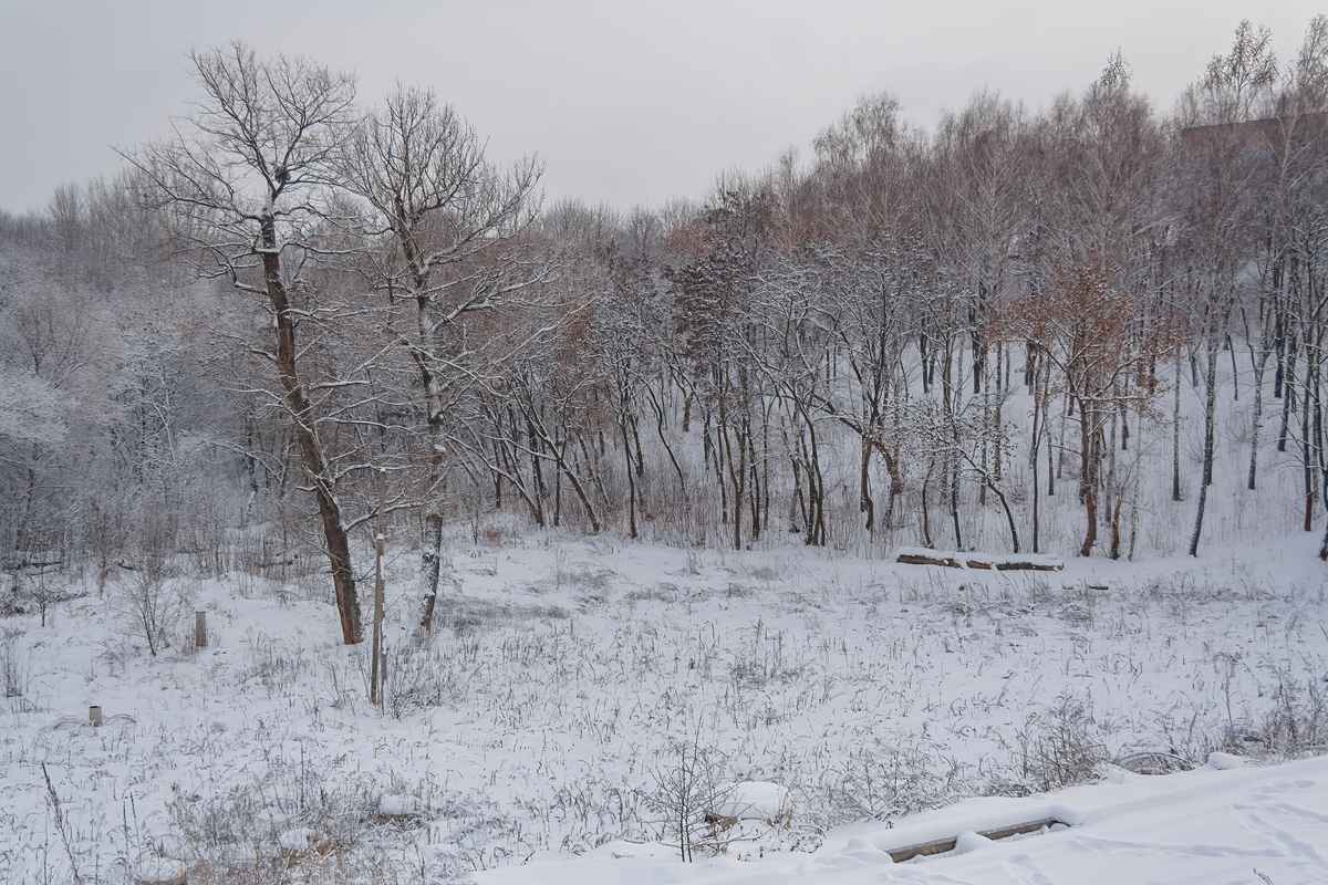 Le lezioni fondamentali dell’Ucraina per la resilienza energetica globale
