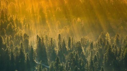 Rinnovabili • sopra-steria-a-list-cdp-performance-ambientali