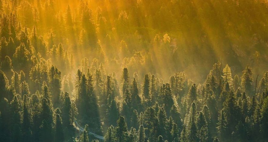 Rinnovabili • sopra-steria-a-list-cdp-performance-ambientali