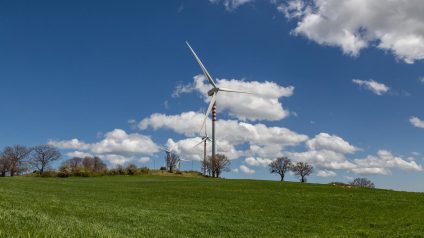Rinnovabili • Al via i percorsi formativi “RinnovaMente per le Scuole” in Basilicata: protagonisti oltre 80 studenti
