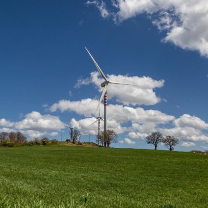 Rinnovabili • Al via i percorsi formativi “RinnovaMente per le Scuole” in Basilicata: protagonisti oltre 80 studenti