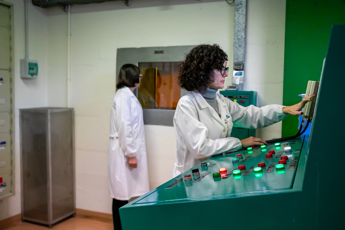 I raggi gamma migliorano la sicurezza e la conservazione del grano