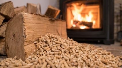 Rinnovabili • Biomasse legnose, AIEL: più stabili e competitive rispetto al gas