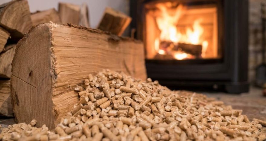 Rinnovabili • Biomasse legnose, AIEL: più stabili e competitive rispetto al gas