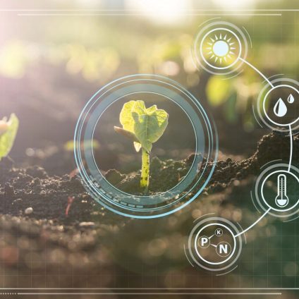 Rinnovabili • Well Done Agri-business: l’Agritech solare che sta trasformando il Burkina Faso