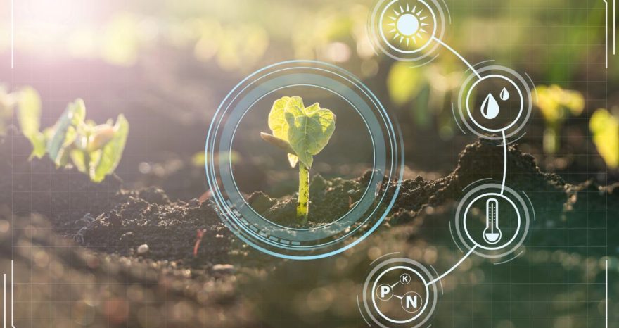 Rinnovabili • Well Done Agri-business: l’Agritech solare che sta trasformando il Burkina Faso