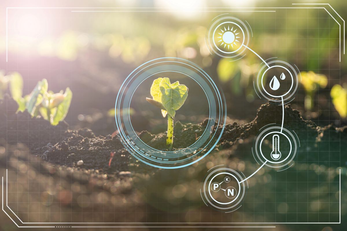 Well Done Agri-business: l’Agritech solare che sta trasformando il Burkina Faso