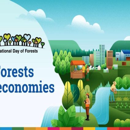 Rinnovabili • Giornata Internazionale delle Foreste 2026 - Foreste ed Economie