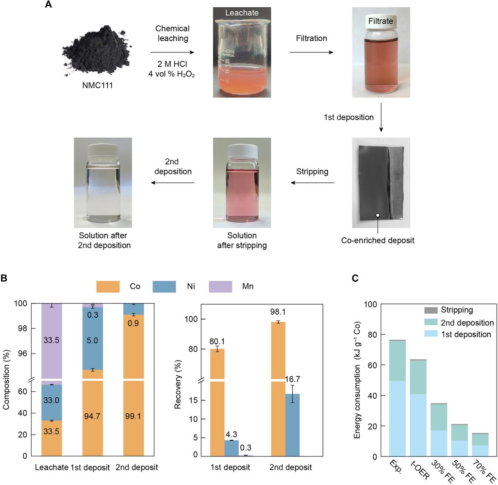Valutazione dell'elettroestrazione selettiva di cobalto su scala batch dal percolato NMC111. Fonte: Science Advances (2026). DOI: 10.1126/sciadv.aec7956