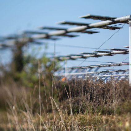 Rinnovabili • Facility Agrovoltaico, tempistiche e nuove regole