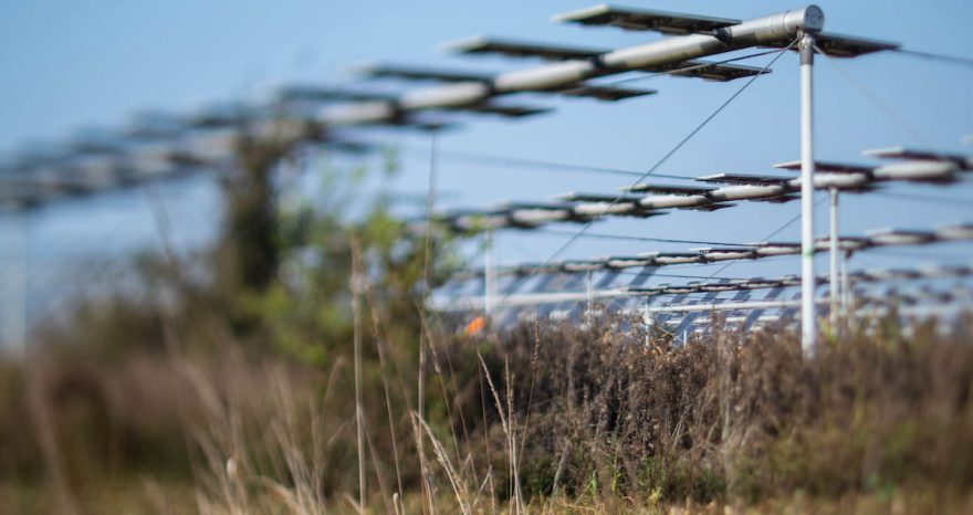 Rinnovabili • Facility Agrovoltaico, tempistiche e nuove regole