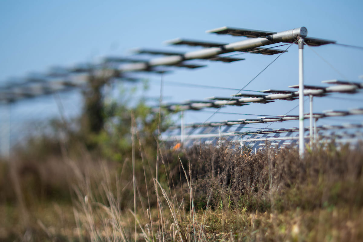 Facility Agrovoltaico, tempistiche e nuove regole