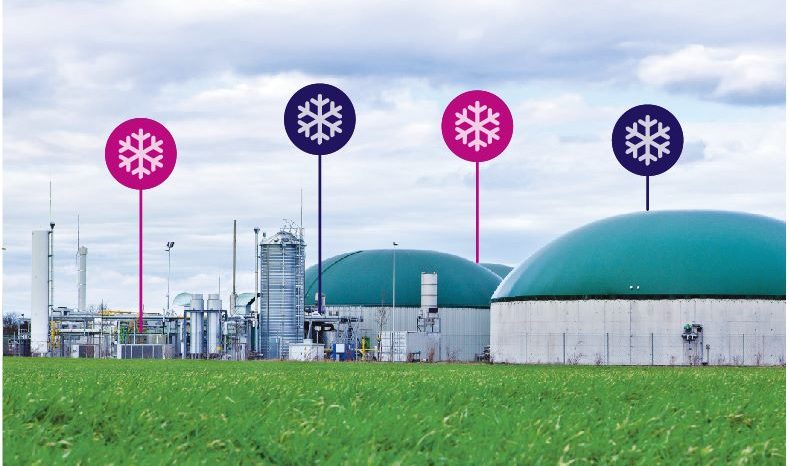 Rinnovabili • Impianti biogas: perché il controllo termico è uno dei fattori chiave di efficienza, affidabilità e continuità operativa