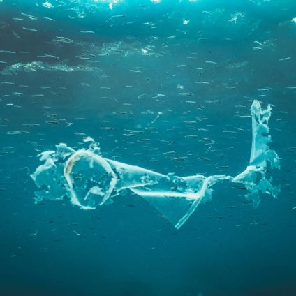 Rinnovabili • Inquinamento in mare, l'IA per tracciare le isole di plastica