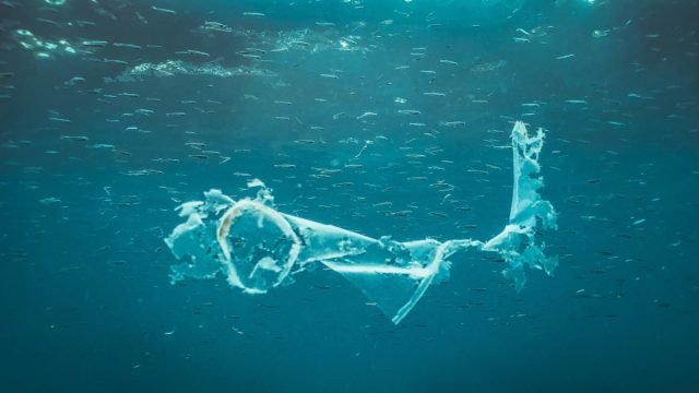 Rinnovabili • Inquinamento in mare, l'IA per tracciare le isole di plastica