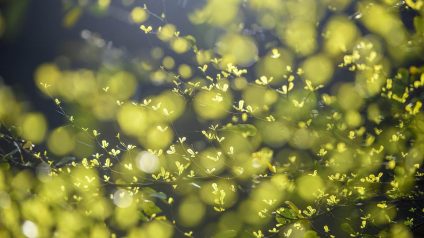 Rinnovabili • andion-project-financing-impianto-biometano-mirandola