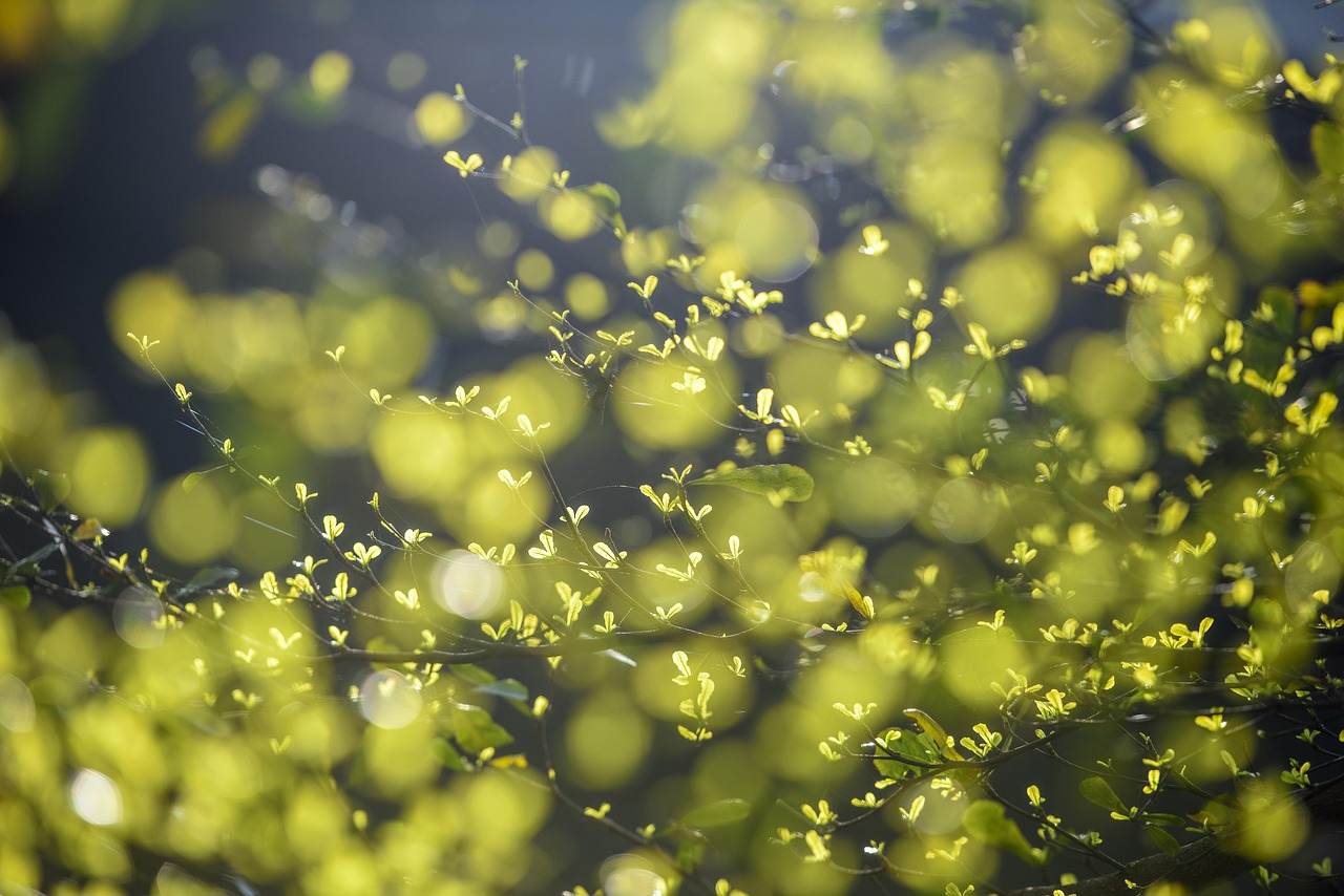 Andion CH4: project financing da 24 mln per l’impianto di biometano di Mirandola