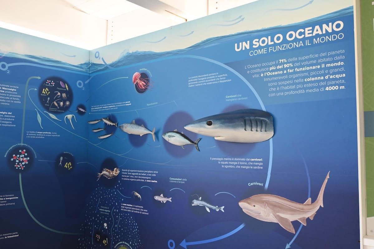 polo scientifico sulla biodiversità fluviale