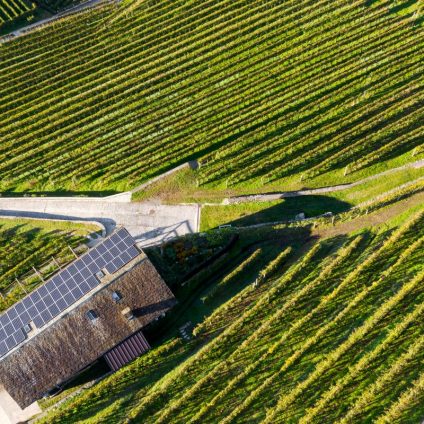 Rinnovabili • Sistema elettrico, marzo 2026 è stato il mese del fotovoltaico: 4 TWh prodotti