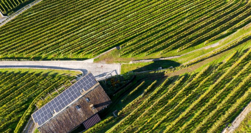 Rinnovabili • Sistema elettrico, marzo 2026 è stato il mese del fotovoltaico: 4 TWh prodotti