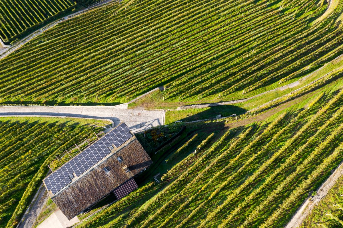 Rinnovabili • Sistema elettrico, marzo 2026 è stato il mese del fotovoltaico: 4 TWh prodotti