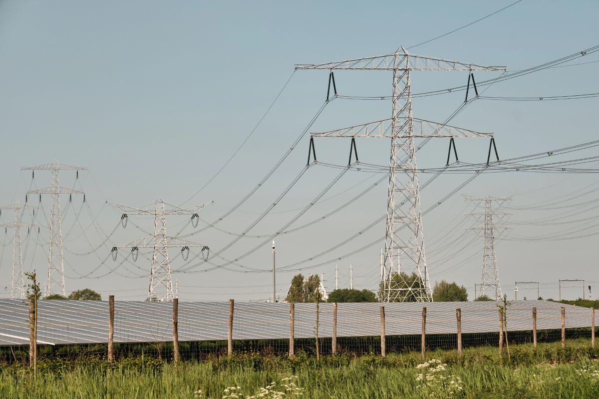 Rinnovabili • Cresce la domanda di energia nel 2025 spinta dall'elettricità. Boom di rinnovabili