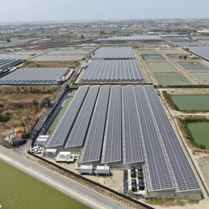 Rinnovabili • Fotovoltaico e gamberi SPF: a Taiwan, energia solare integrata all'acquacoltura in serra
