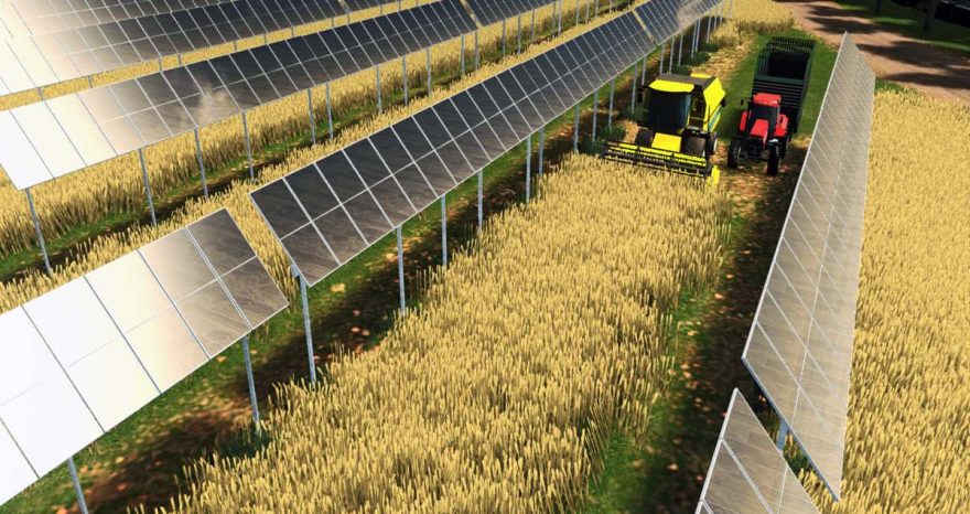 Rinnovabili • agribari-agrivoltaico-sperimentale-statkraft-universita-bari-partono-i-lavori