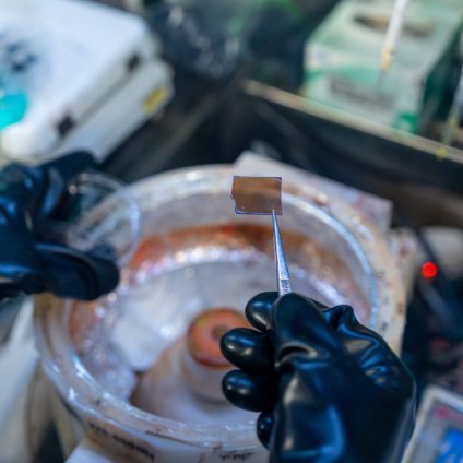 Rinnovabili • Perovskiti bidimensionali