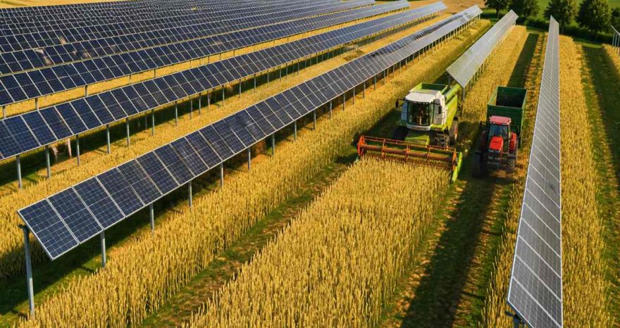 Rinnovabili • agrivoltaico-italia-pnrr-sostiene-700-progetti-servono-regole-chiare