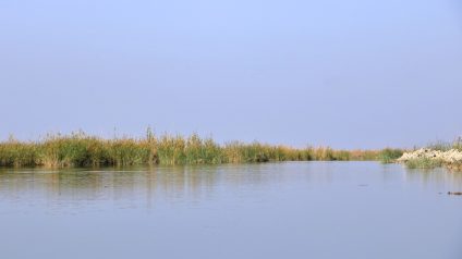 Rinnovabili • iraq-paludi-siccita