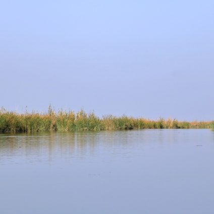 Rinnovabili • iraq-paludi-siccita
