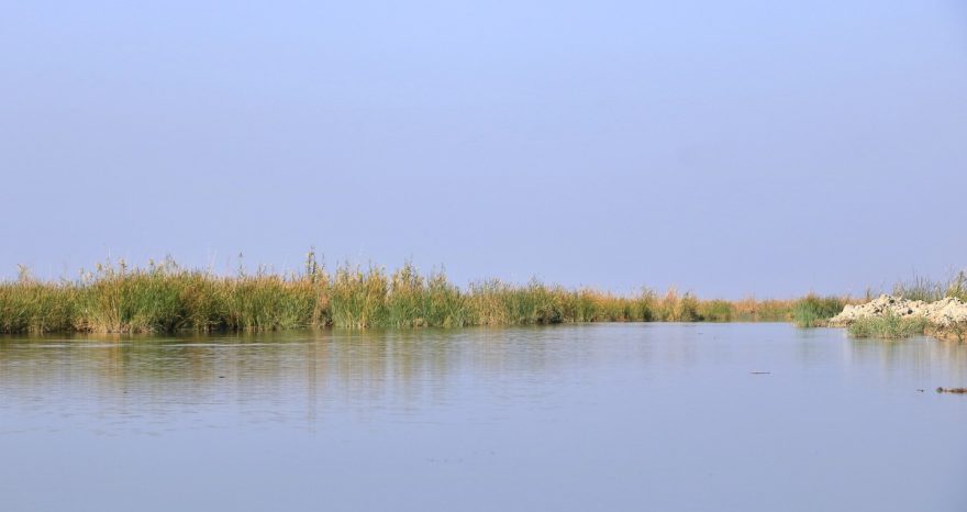 Rinnovabili • iraq-paludi-siccita