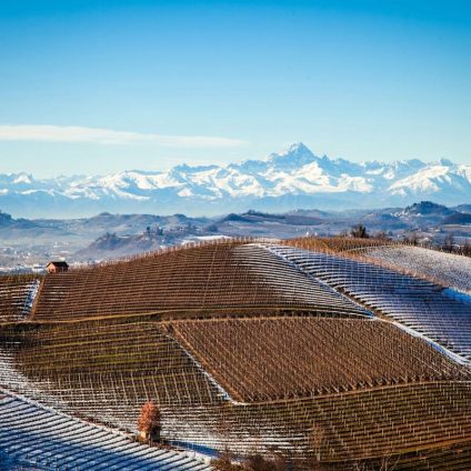 Rinnovabili • Rinnovabili nelle imprese, il Piemonte concede aiuti fino al 100% delle spese