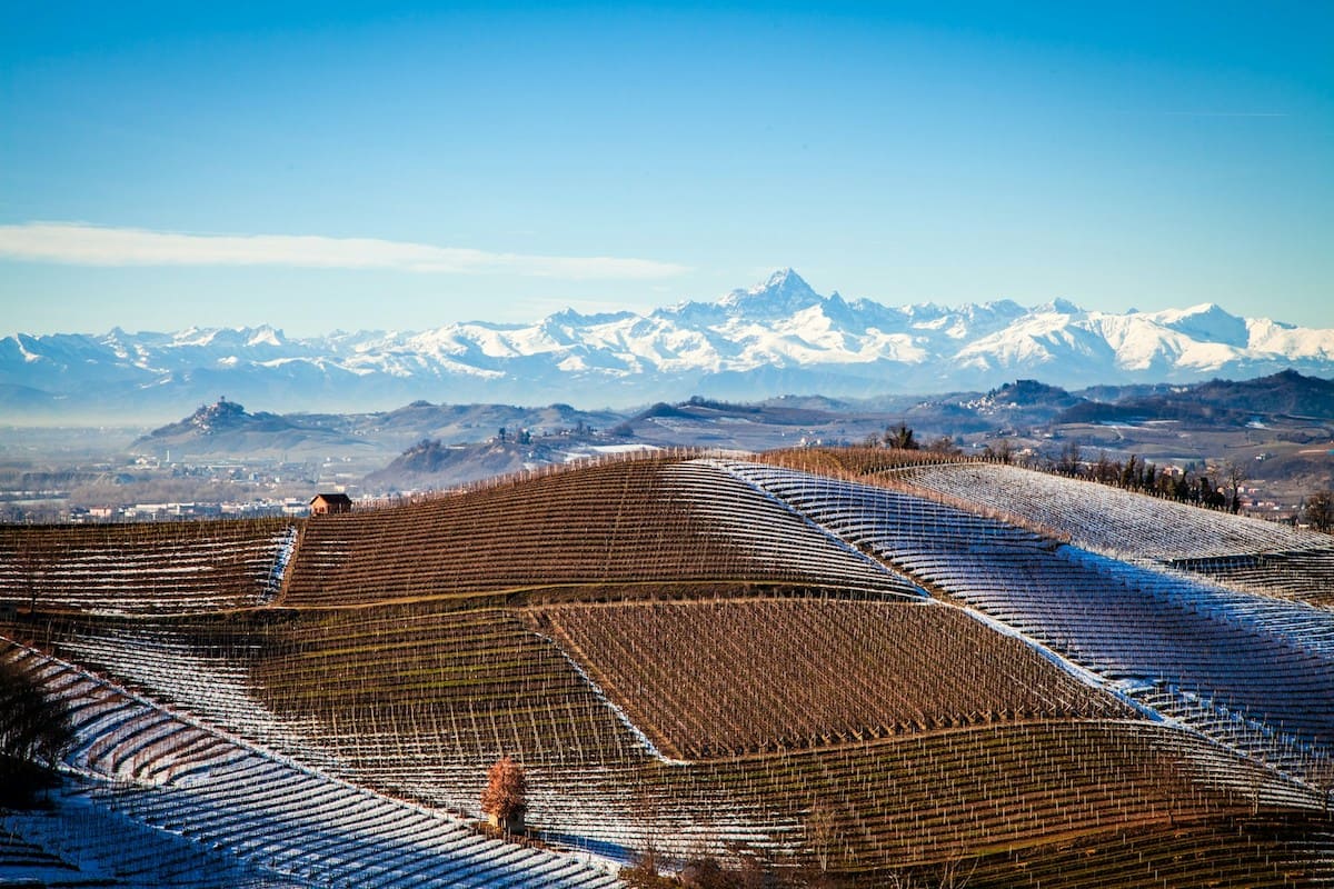 Rinnovabili • Rinnovabili nelle imprese, il Piemonte concede aiuti fino al 100% delle spese