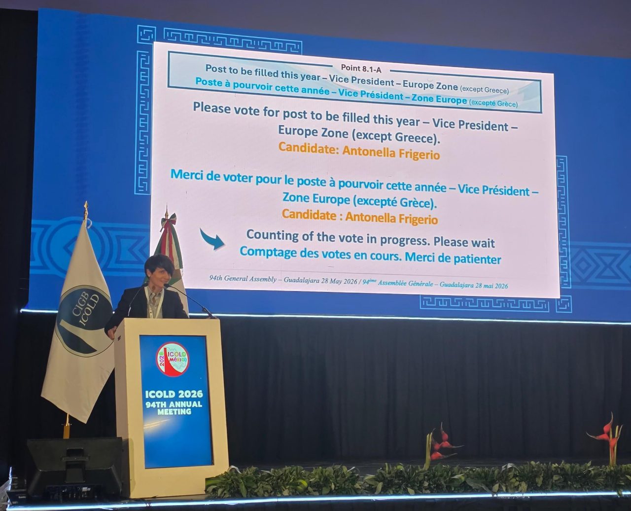 Rinnovabili • Energia idroelettrica e ingegneria delle dighe, Antonella Frigerio eletta vicepresidente ICOLD in rappresentanza dell’Europa