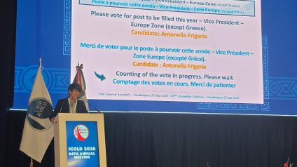 Rinnovabili • Energia idroelettrica e ingegneria delle dighe, Antonella Frigerio eletta  vicepresidente ICOLD in rappresentanza dell’Europa 