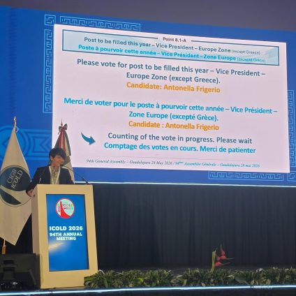 Rinnovabili • Energia idroelettrica e ingegneria delle dighe, Antonella Frigerio eletta vicepresidente ICOLD in rappresentanza dell’Europa