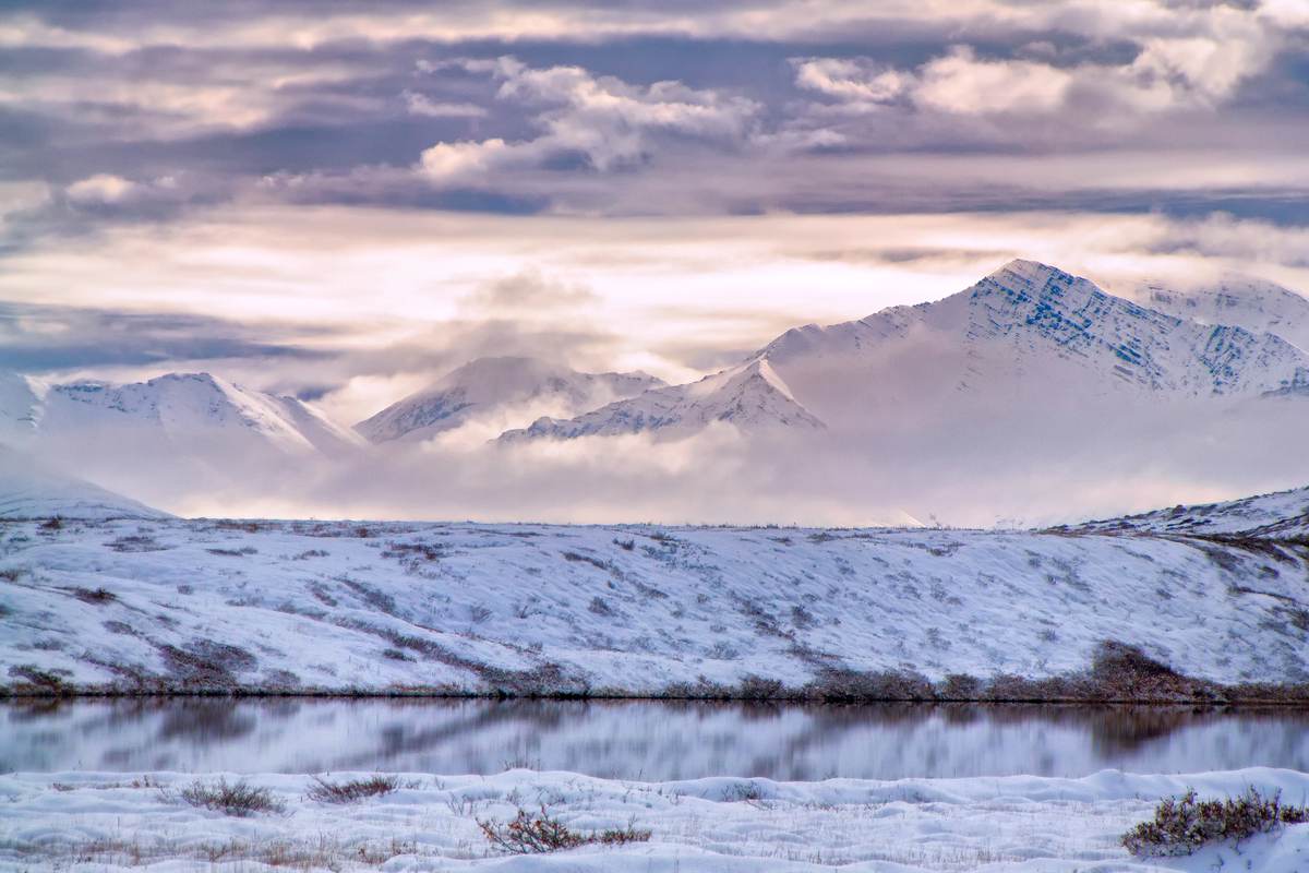 Il flop di Trump in Alaska: l’asta per l’“oro liquido” dell’Artico attira poche offerte