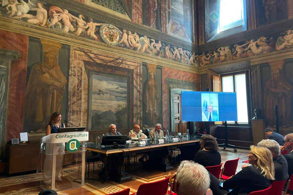 Dal costo all’asset: così l’energia può far crescere la filiera agricola italiana