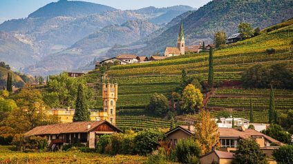 Rinnovabili • Energia: TAR Bolzano annulla limiti a impianti agrivoltaici