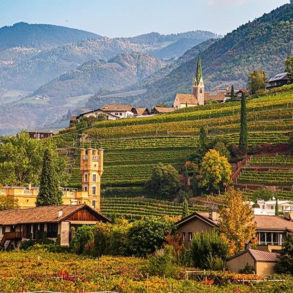 Rinnovabili • Energia: TAR Bolzano annulla limiti a impianti agrivoltaici