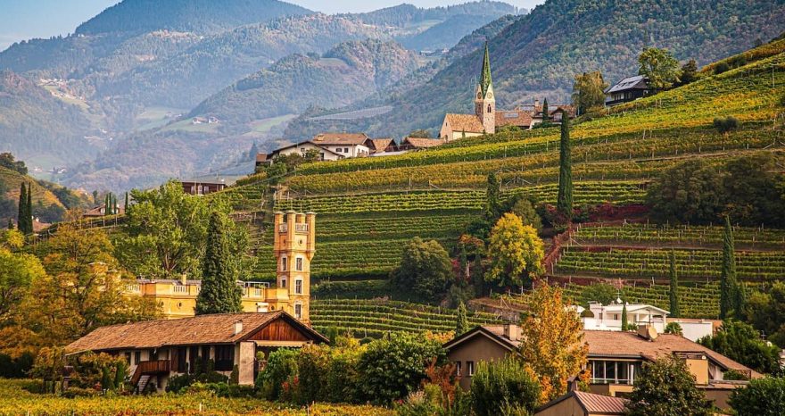 Rinnovabili • Energia: TAR Bolzano annulla limiti a impianti agrivoltaici